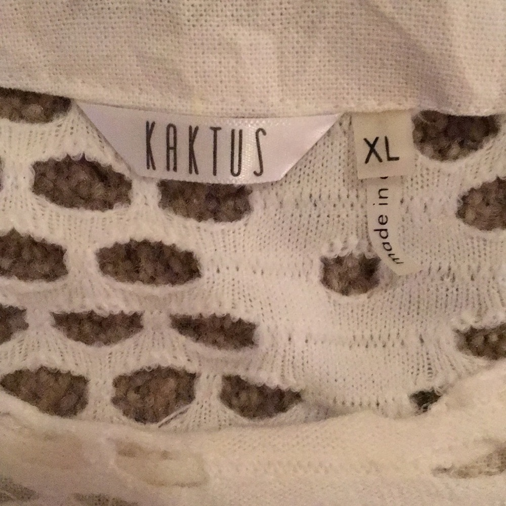 Kaktus Top View 4